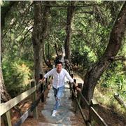 Docente virtual que ofrece sus servicios de clases de Ofimatica dirigidas a Pregrado o bachiller desde la ciudad de Ibague